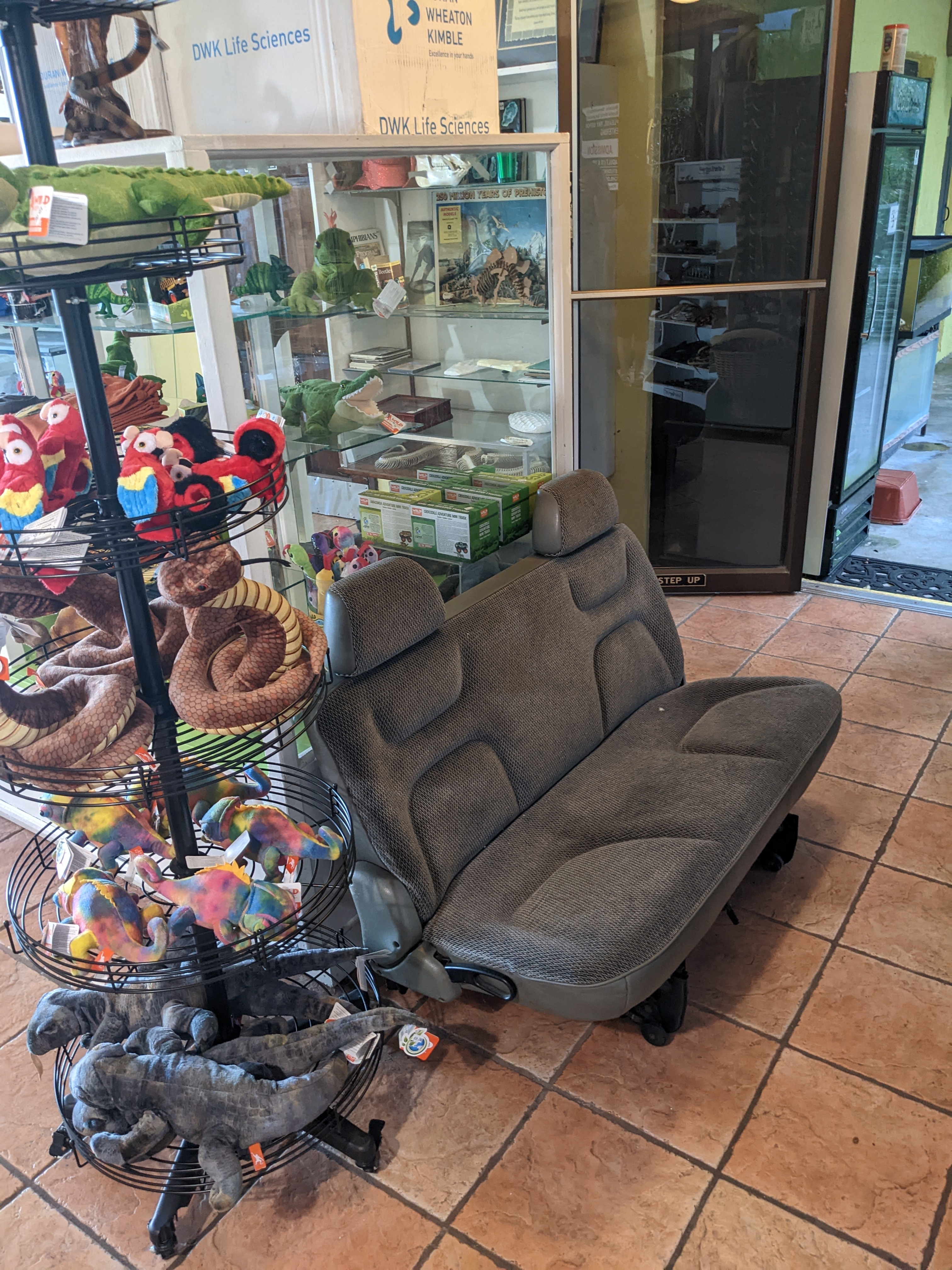 Photo of a seat bench from the rear of a minivan inside a gift shop surrounded by snake and reptile-themed toys